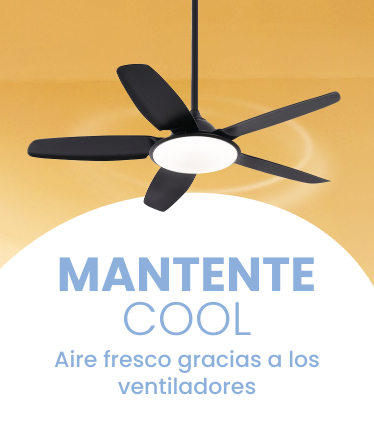 Ventiladores: una brisa de aire fresco