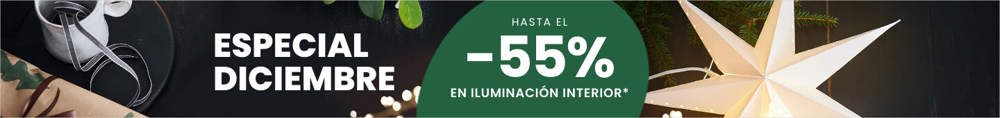 especial diciembre